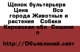 Щенок бультерьера › Цена ­ 35 000 - Все города Животные и растения » Собаки   . Кировская обл.,Сошени п.